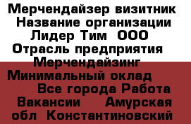 Мерчендайзер-визитник › Название организации ­ Лидер Тим, ООО › Отрасль предприятия ­ Мерчендайзинг › Минимальный оклад ­ 23 000 - Все города Работа » Вакансии   . Амурская обл.,Константиновский р-н